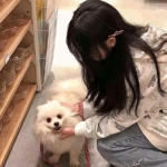 血战龙城官方下载